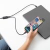 Native Union Belt Cable (USB-C - USB-C) 2m, cosmos