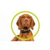 Mobile Origin AirTag Pet Collar, black