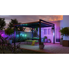 Nanoleaf Essentials Smart Multicolour Outdoor String Light Starter Kit - wielokolorowe lampki zewnętrzne 30 m, 55 Lm/żarówka, 27 W 2700 K-6500 K, kontroler w zestawie (technologia Matter)