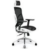 Fotel ergonomiczny Diablo Chairs V-Basic biało-czarny