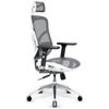 Fotel ergonomiczny Diablo Chairs V-Basic biało-szary