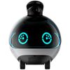 Inteligentny robot towarzyszący ENABOT EBO X