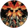 Frisbee Waboba Wingman Pro dysk silikonowy 20cm (Produkt w kilku kolorach - wysyłka losowa)