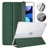 Mercury Clear Back Cover iPad 10.910 gen (2022) zielony/green