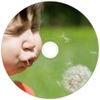 Płyta DVD-R Verbatim Wide Inkjet Printable 4.7GB 16X 25szt 43538