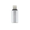 Adapter Typ C (żeński) do Lightning (męski) srebrny