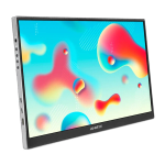 Monitor przenośny ANMITE A160W04 16"