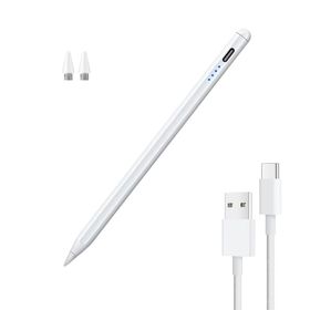 Ecobox Rysik Uniwersalny TYP-C IOS/Android/Windows Biały
