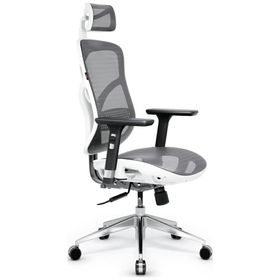 Fotel ergonomiczny Diablo Chairs V-Basic biało-szary