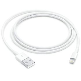 Kabel Apple MUQW3ZM/A blister 1mLightning iPhone 5/SE/6/6 Plus/7/7 Plus/8/8 Plus/X/Xs/Xs Max/Xr