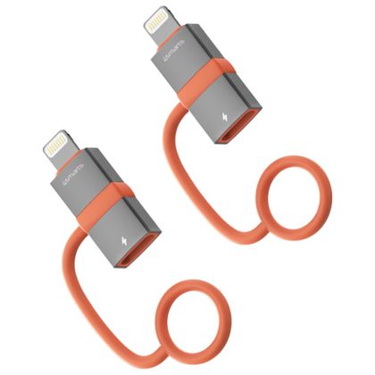 Adapter 4smarts USB-C do Lightning PD 27W szary 2szt