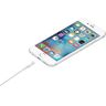 Kabel Apple MUQW3ZM/A blister 1mLightning iPhone 5/SE/6/6 Plus/7/7 Plus/8/8 Plus/X/Xs/Xs Max/Xr na NearMe.pl
