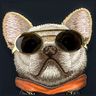 Nimmy etui iPhone 16 6.1" czarny/black   Glasses Cool Dog na NearMe.pl