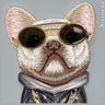 Nimmy etui iPhone 15 6.1" szary/gray     Glasses Cool Dog na NearMe.pl