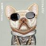 Nimmy etui iPhone 15 Pro 6.1" szary/gray Glasses Cool Dog na NearMe.pl