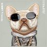 Nimmy etui iPhone 15 Pro Max 6.7"        szary/gray Glasses Cool Dog na NearMe.pl