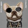 Nimmy etui iPhone 16 Pro 6.3" szary/gray Glasses Cool Dog na NearMe.pl
