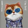 Nimmy etui iPhone 16 Pro Max 6.9"        szary/gray Glasses Cool Cat na NearMe.pl