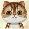Nimmy etui iPhone 15 6.1" khaki Big Eyed Pet 2.0 Cat na NearMe.pl