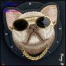 Etui Nimmy Glasses Cool Dog MagSafe do   iPhone 16 czarny na NearMe.pl