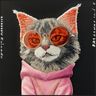 Etui Nimmy Glasses Cool Cat do iPhone 17 czarny na NearMe.pl