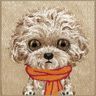 Etui Nimmy Big Eyed Pet 2.0 Dog do       iPhone 17 beżowy na NearMe.pl