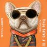 Etui Nimmy Glasses Cool Dog do iPhone 17 Pro pomarańczowy na NearMe.pl