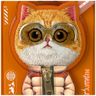 Etui Nimmy Cool&Cute 2.0 Cat do iPhone   17 Pro Max z magnetyczną zawieszką pomarańczowy na NearMe.pl