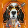 Etui Nimmy Cool&Cute 2.0 Dog do iPhone   17 Pro Max z magnetyczną zawieszką pomarańczowy na NearMe.pl