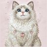 Etui Nimmy Lucky Fashion Cat MagSafe do  iPhone 17 Pro Max różowy na NearMe.pl