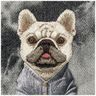 Etui Nimmy Gentle Pets Series Dog        MagSafe do iPhone 17 Pro czarny na NearMe.pl