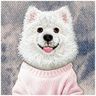 Etui Nimmy Gentle Pets Series Dog        MagSafe do iPhone 17 Pro różowy na NearMe.pl