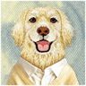 Etui Nimmy Gentle Pets Series Dog        MagSafe do iPhone 17 Pro Max brązowy na NearMe.pl