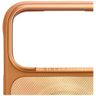 Etui Nimmy Gentle Pets Series Dog        MagSafe do iPhone 17 Pro pomarańczowy na NearMe.pl