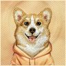 Etui Nimmy Gentle Pets Series Dog        MagSafe do iPhone 17 Pro Max pomarańczowy na NearMe.pl