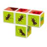 Klocki magnetyczne Magicube Printed Insects + karty 7 elementów GEOMAG GEO-121 na NearMe.pl
